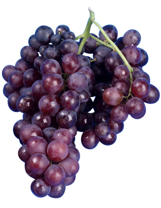 UVA_MOSCATO_AMBURGO
