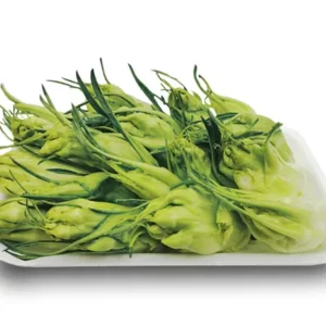 PUNTARELLE PULITE conf. 250g