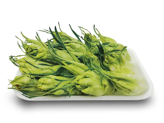puntarelle